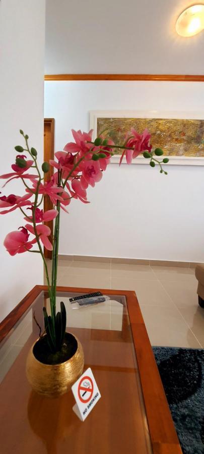 Le Chant De Merle Self -Catering Studios And Apartments Mahe Island Εξωτερικό φωτογραφία