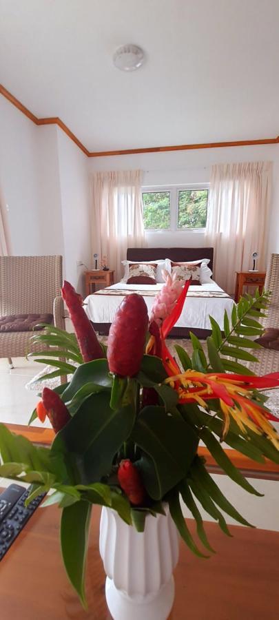 Le Chant De Merle Self -Catering Studios And Apartments Mahe Island Εξωτερικό φωτογραφία