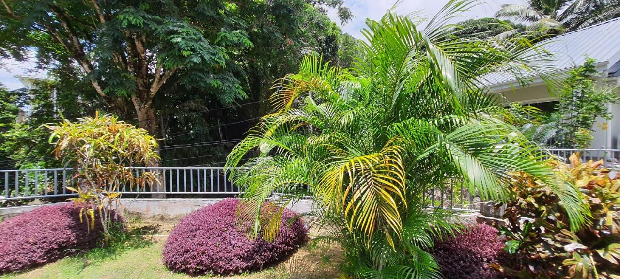 Le Chant De Merle Self -Catering Studios And Apartments Mahe Island Εξωτερικό φωτογραφία