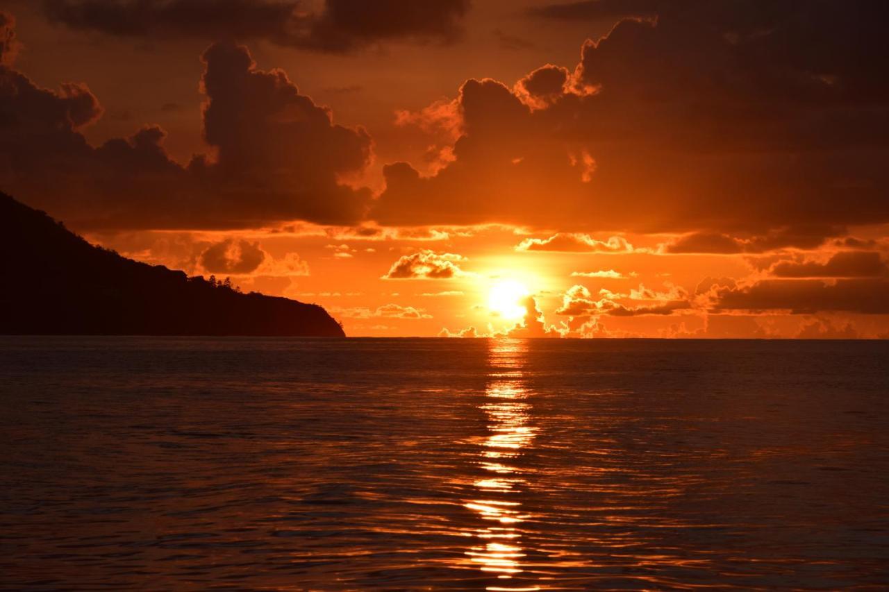 Le Chant De Merle Self -Catering Studios And Apartments Mahe Island Εξωτερικό φωτογραφία